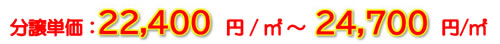 分譲価格